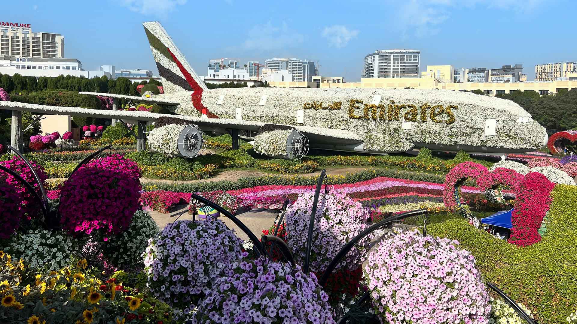 Close-up of floral wings
